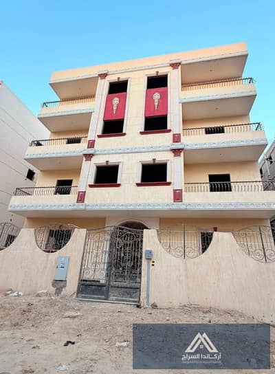 مدينة بدر