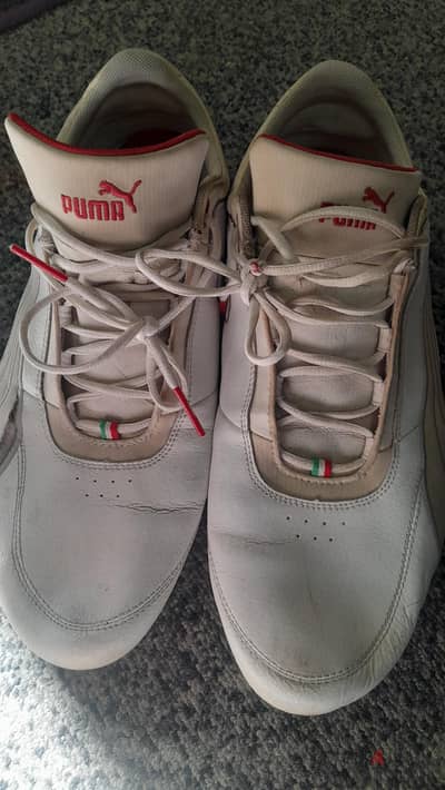 كوتشي رياضي Puma Ferrari Drift Cat مقاس ٤٨