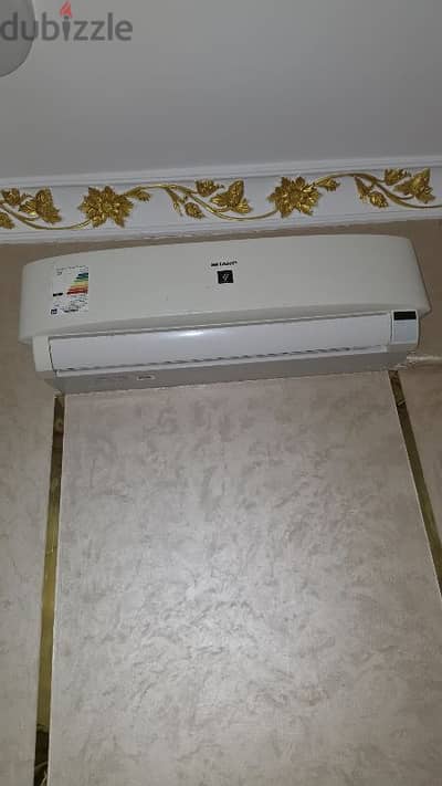 الفيوم