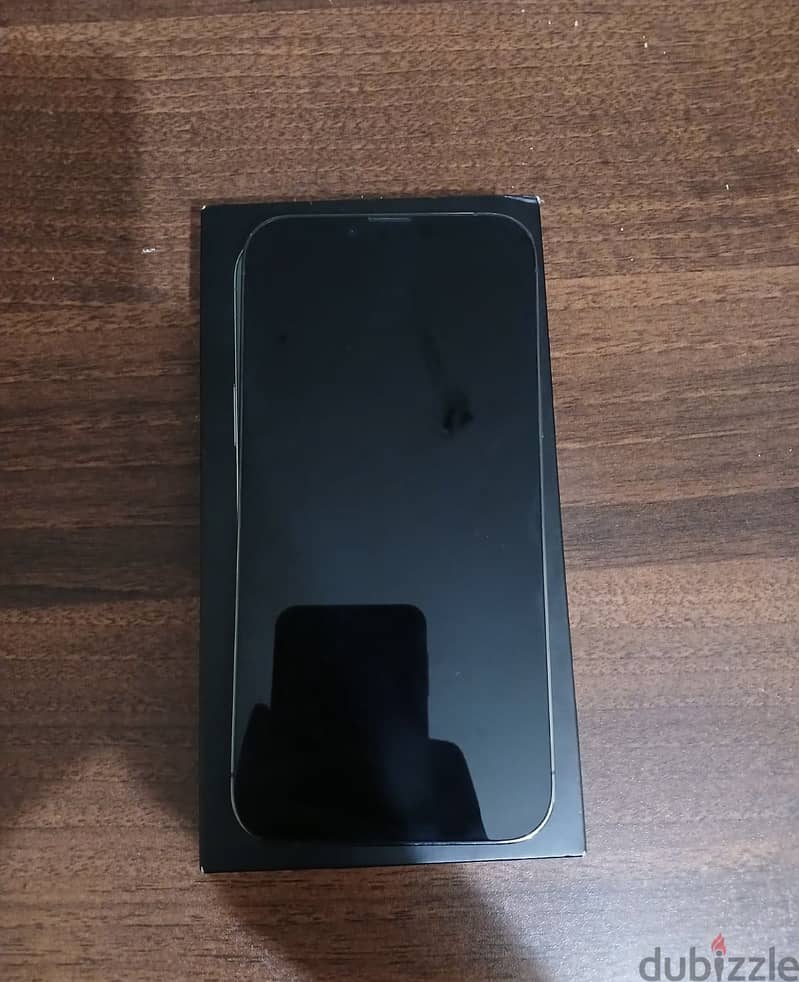 iPhone 13 Pro Max 2