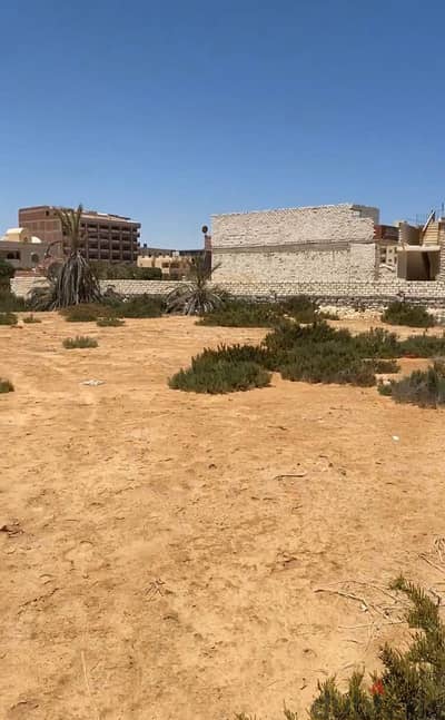 Obayed land Marsa Matrouh for Sale