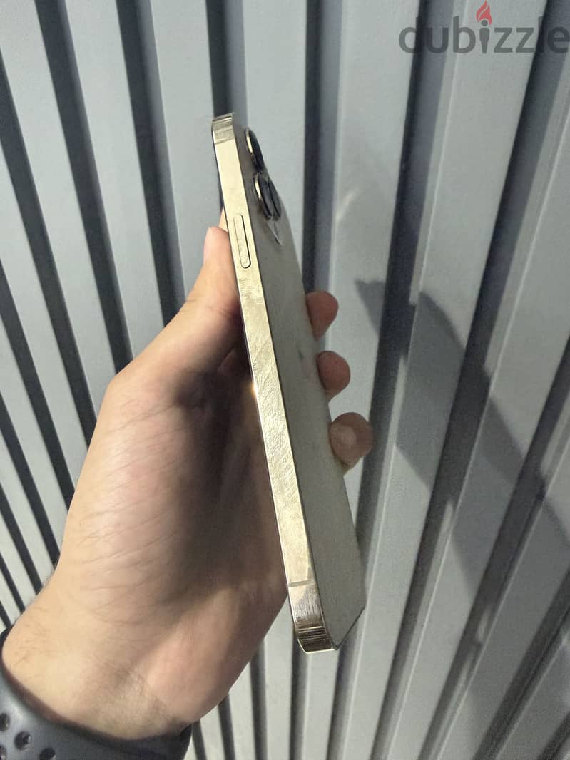 Apple - iPhone 13 Pro Max 1