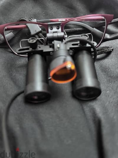 Ergovision Loupes 5x with light