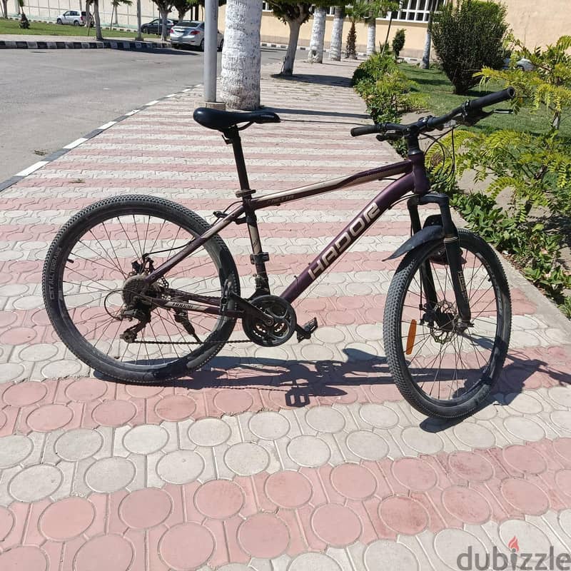 hador 1
