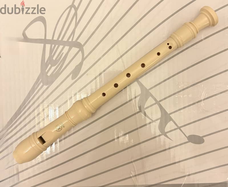 Angelet electronic keyboard & harmonica & flute 5