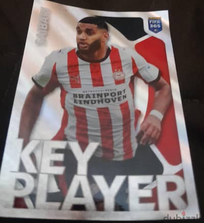 panini cards
