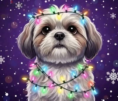 Shih Tzu puppies available