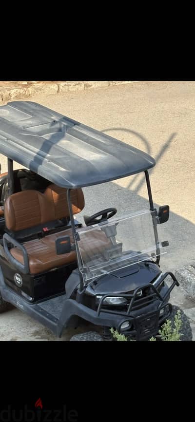 Raya auto off-road golf cart 2025
