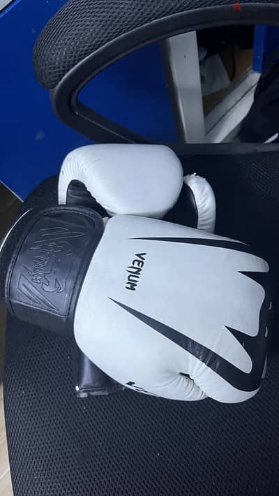 Venum gloves