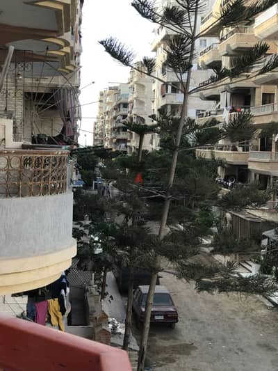 شقة مفروشة للإيجار اليومي بشاطئ النخيل بالعجمي
