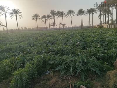 ك 50 طريق الصحراوي الاسكندريه القاهره تبعد عن الصحراوي 800. متر تقريبا