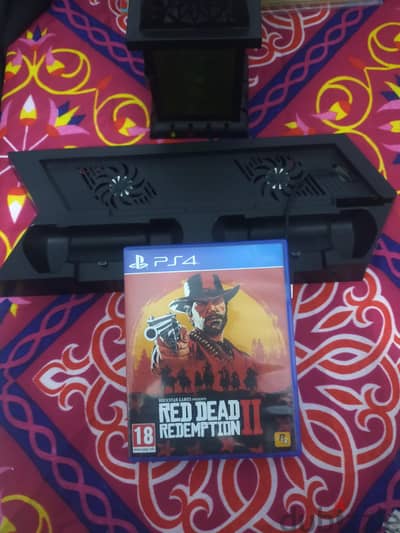 Red Dead Redemption2 ps4