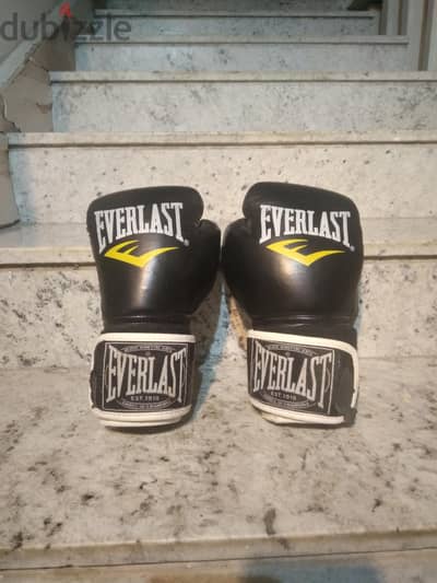 (everlast boxing gloves)-8oz