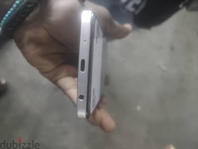 vivo 04