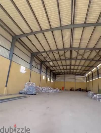 جمالون للبيع على طريق (بلبيس)