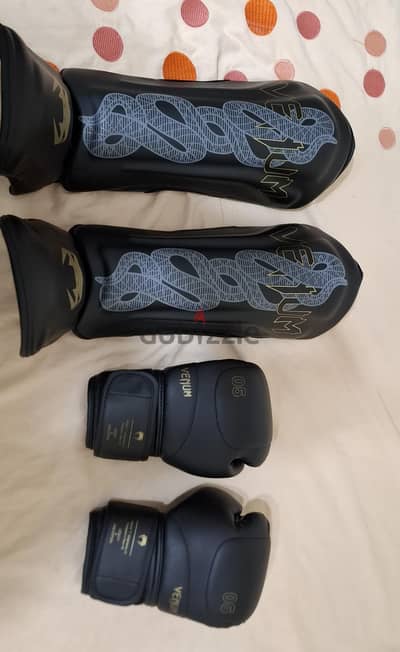 kickboxing Gloves and leg shield (used like new)
