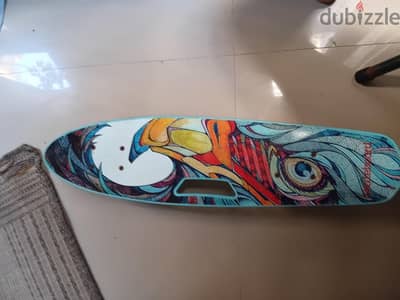 skaye board