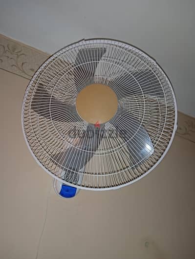 م وحه حائط ١٨ بوصه  كالجدبده والسعر نهائى ٧٥٠ج