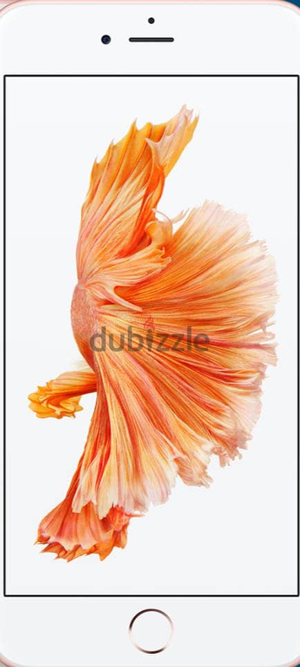Apple - iPhone 6 Plus 2