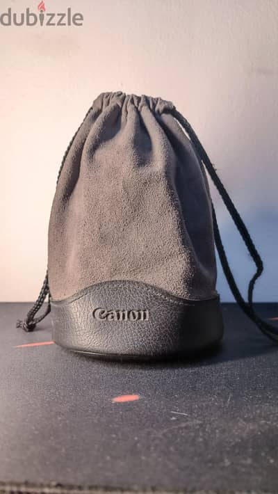 Canon 24-105