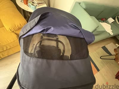 Cybex mois platinum