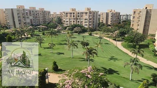 Apartment 200 meters for rent, legal in Madinaty, phase B11, wide garden view, direct northern direction, close to all services