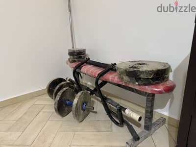 Gym Dumbbells and Bench