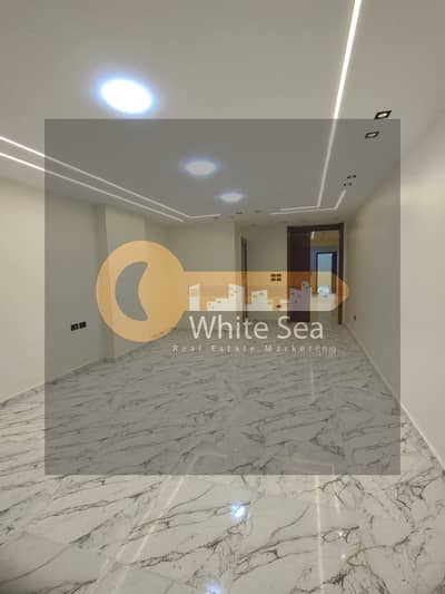 Administrative licensed office for rent directly on the tram in Saba Pasha
