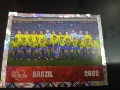 Brazil panini card