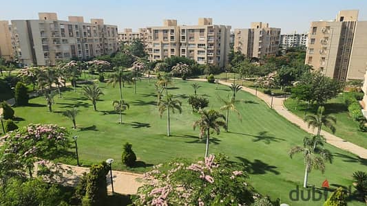 مدينتي القاهرة الجديدة b11