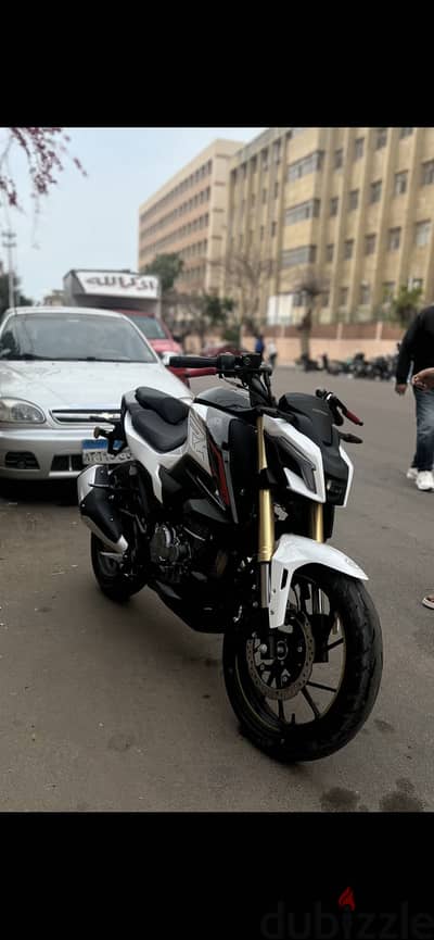 موتسكل rkv