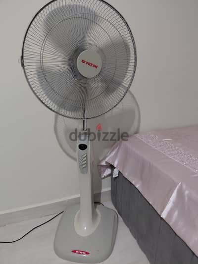 مروحة فريش