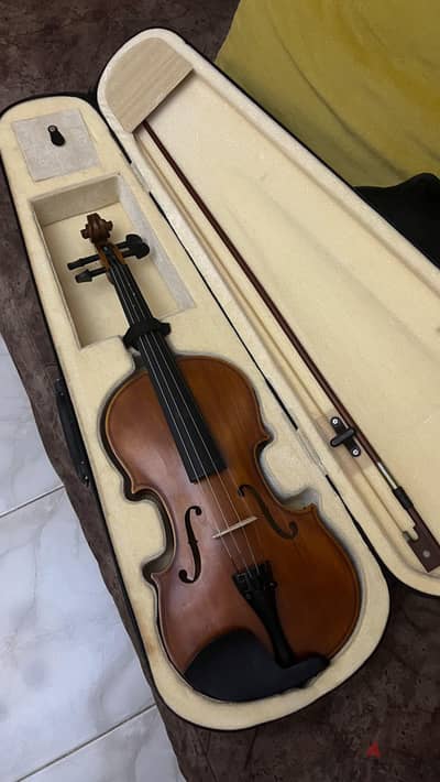 violin