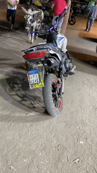 benelli vlx 2022