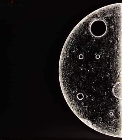 Moonlight Art
