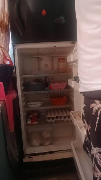 تلاجه كريازى