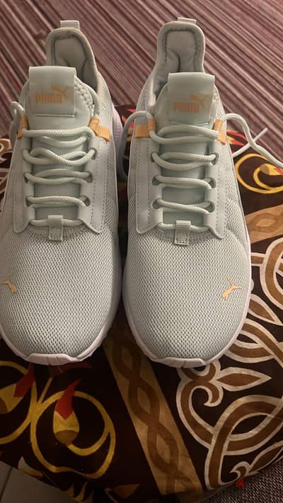 كوتشى بوما puma اصلى للبيع