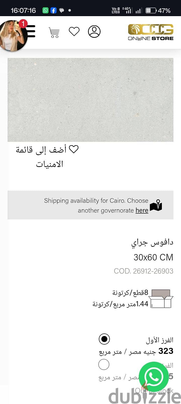 Ceramic tiles 3