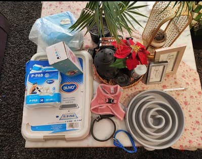 items for pets