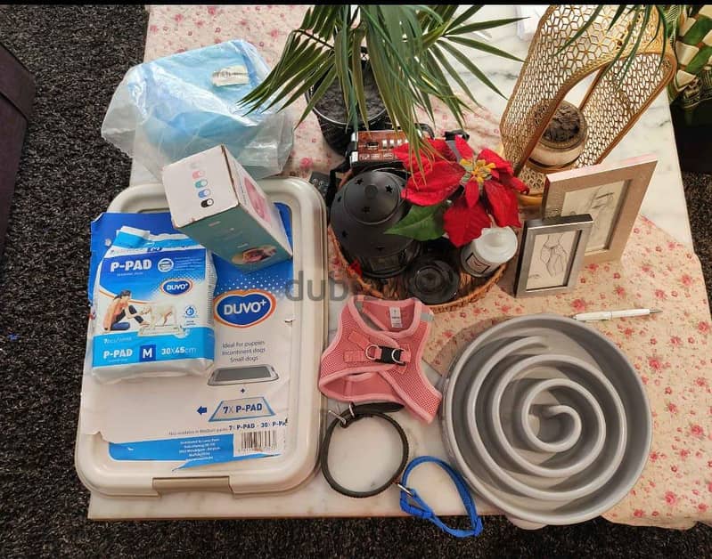 items for pets 7