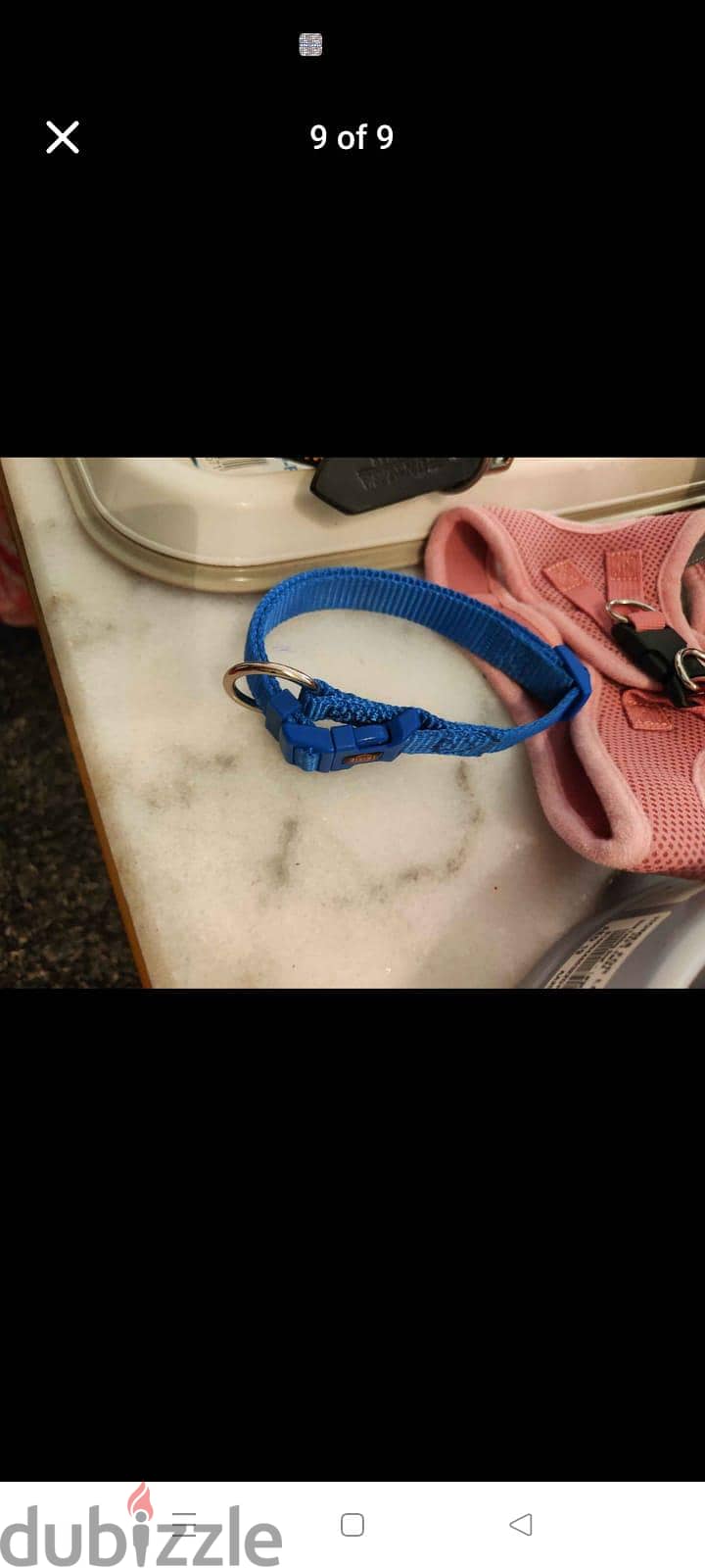 items for pets 9