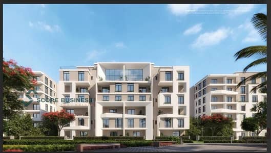 Ready-to-Move Apartment for Sale with 50% Discount in a Fully Established, Fully Serviced Compound