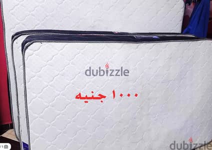 مرتبه سوست استعمال عين شمس
