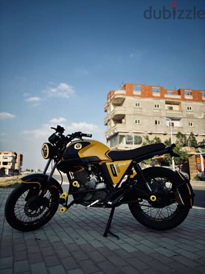 هوجن V250