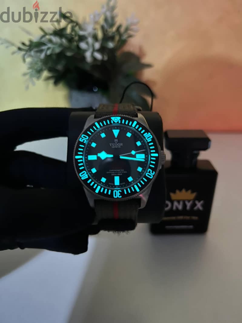 Tudor Pelagos Black Fxd Titanium With Two Strap 2
