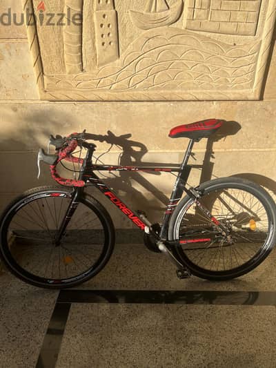 Bicycle for sale