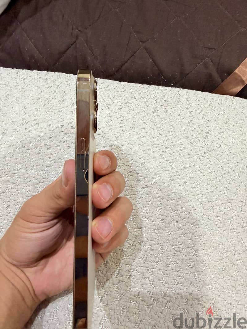 Apple - iPhone 13 Pro Max 1
