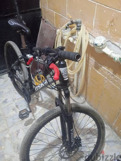 عجله اوشا