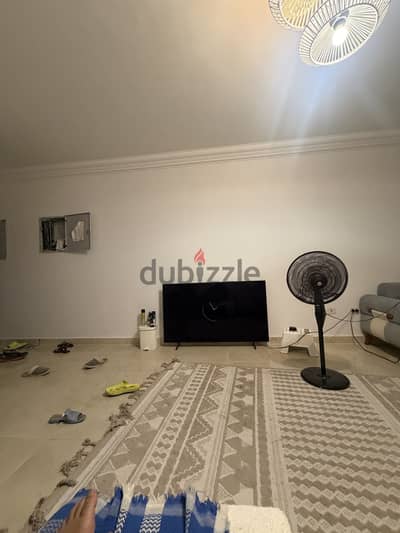 LG OLED B6 / 2026