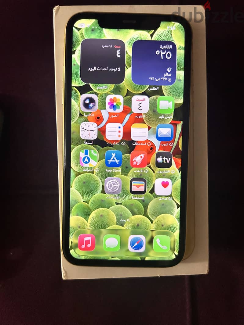 iPhone 11 128g 6